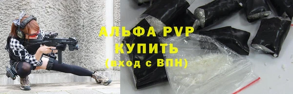тгк Дмитров