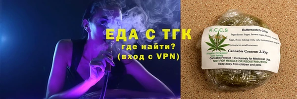 тгк Дмитров