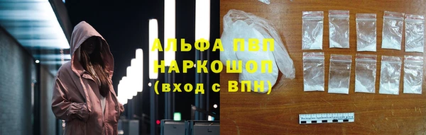 apvp Гусев
