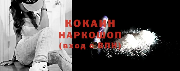 дживик Дмитриев