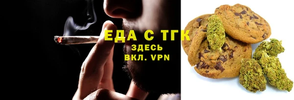 тгк Дмитров