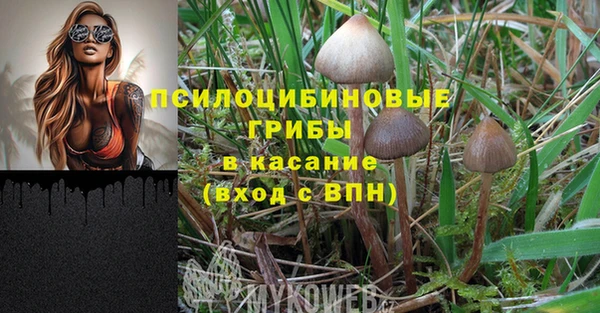 дживик Дмитриев